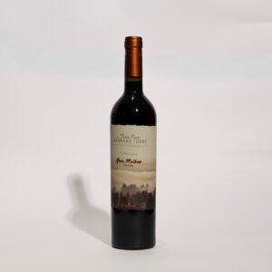 Estancia Las Cañitas Juan Cruz Navarro Torre Gran Malbec 2022