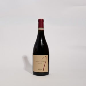 Patritti Primogénito Pinot Noir