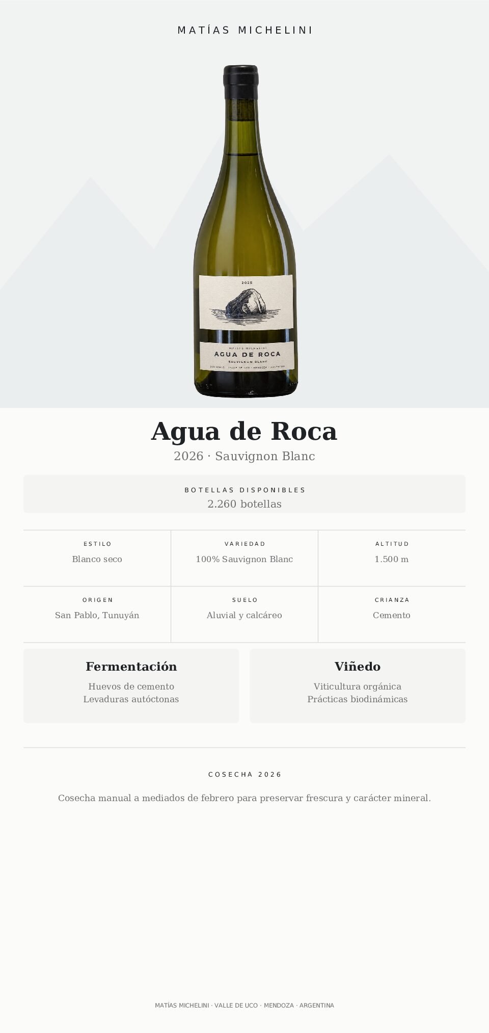 Matías Michelini Agua de Roca San Pablo 2025 - Imagen 2