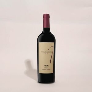 Patritti Primogenito Malbec
